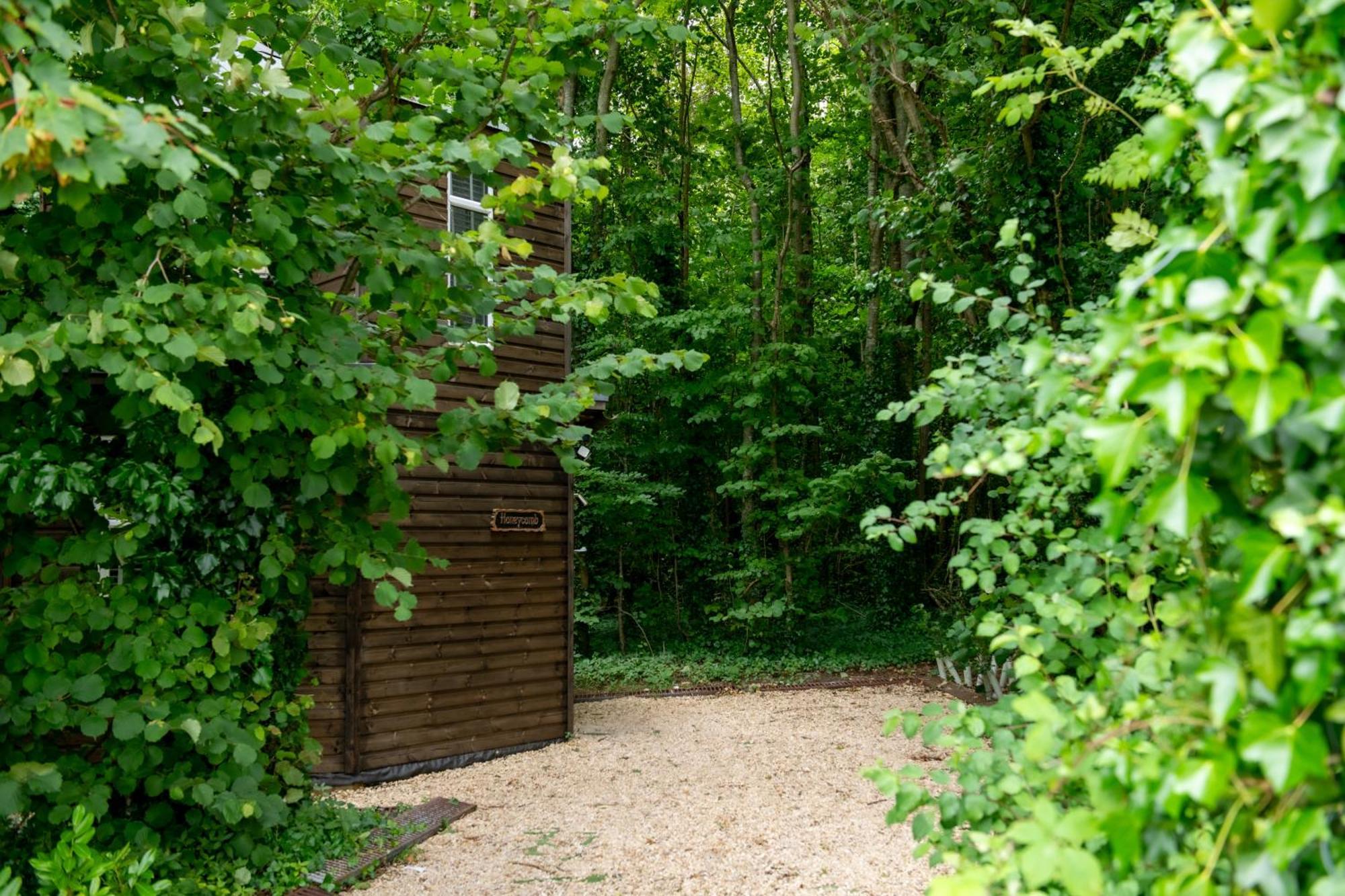 Honeycombe - Treehouse In The Heart Of Dorset Villa Blandford Forum Exterior photo